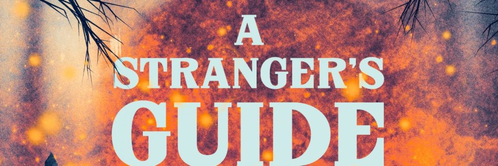 Buchrezension A Strangers Guide Review von Unaltered Magazine